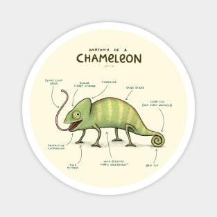 Anatomy of a Chameleon Magnet